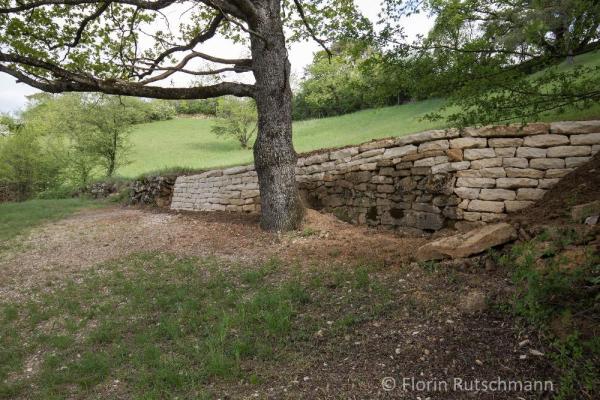 Mur sec restauré sans végétation