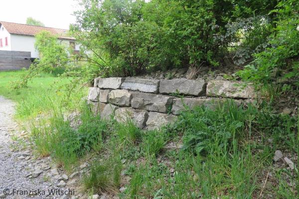 Mur en pierres sèches récemment construit dans un jardin